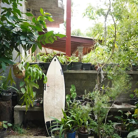 Passionfruit Homestay Matara Exterior photo